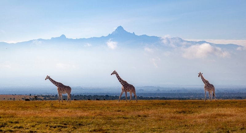 Mount Kenya & Laikipia