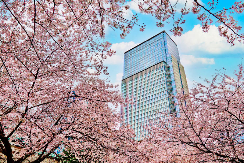 @Mandarin Oriental Tokyo