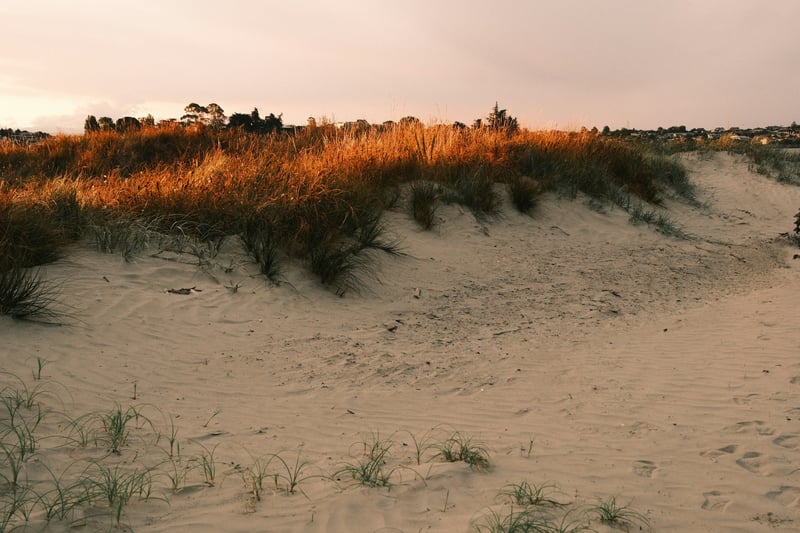 Arcachon & Cap Ferret