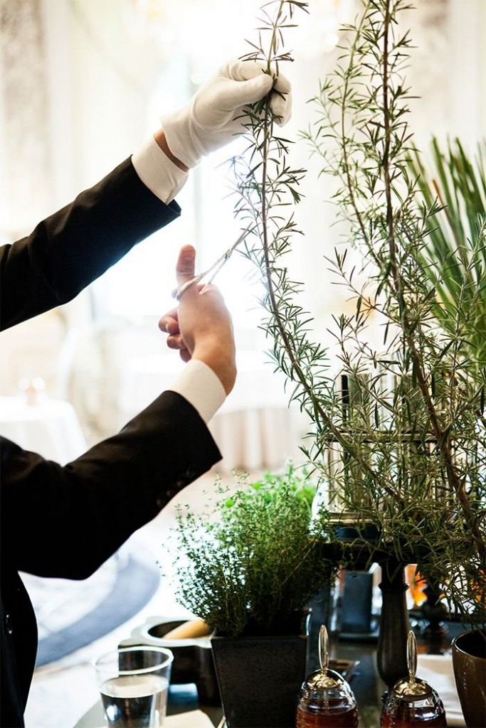 Le fameux chariot à thé