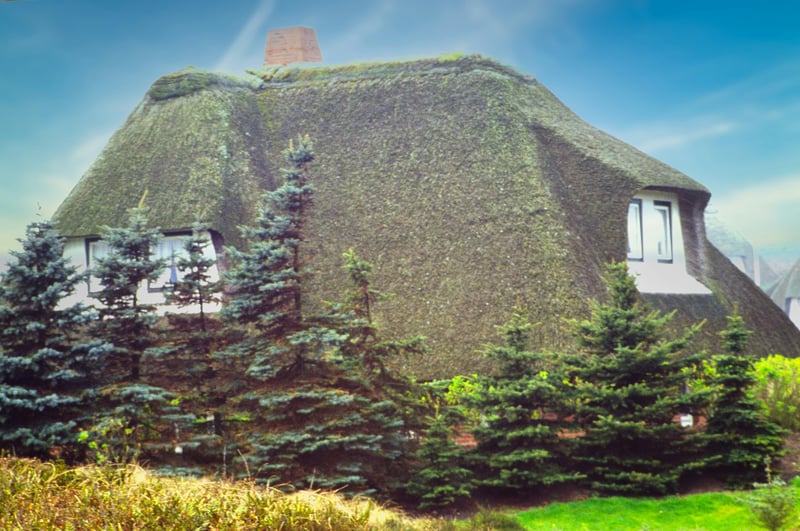 Îles frisonnes septentrionales