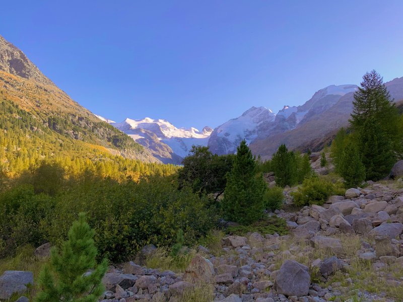 Best Hotels & Restaurants in Engadine Valley | Reviews