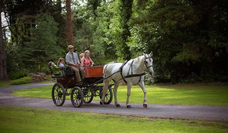Crédit : Ashford Castle