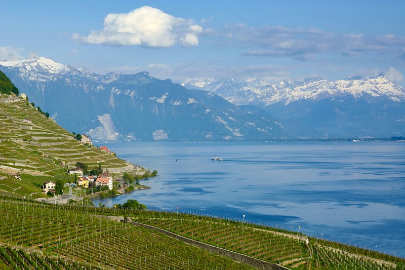 Lavaux