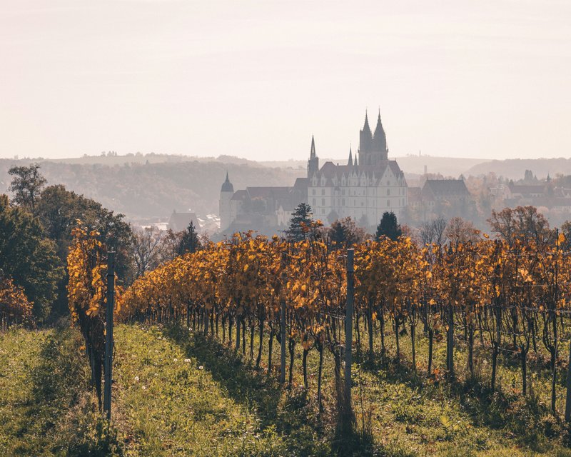 German Wine Route