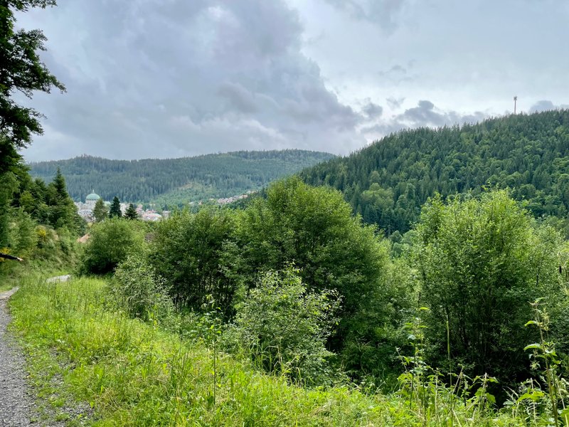 Southern Black Forest