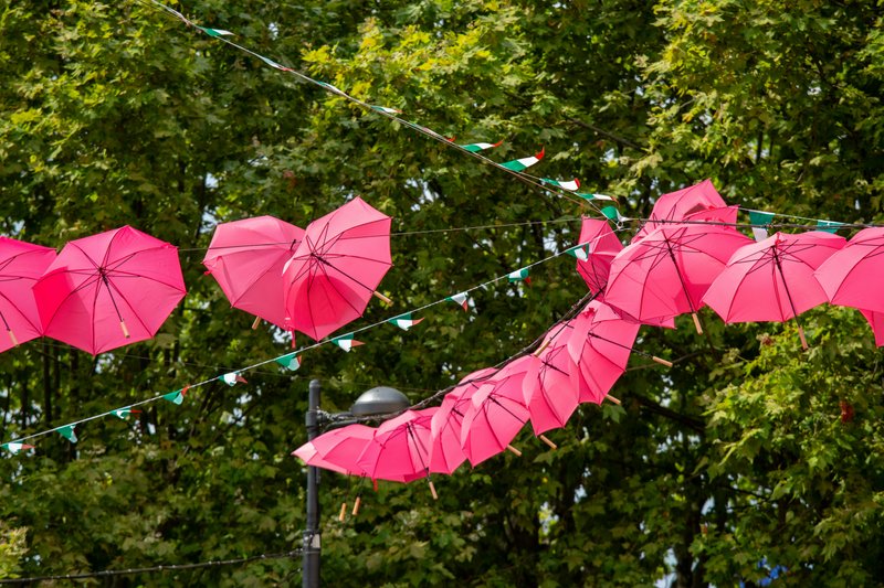 Grasse et l'arrière-pays