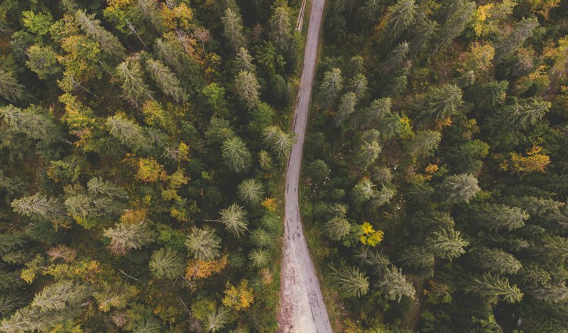 Les Rousses et le Haut-Jura