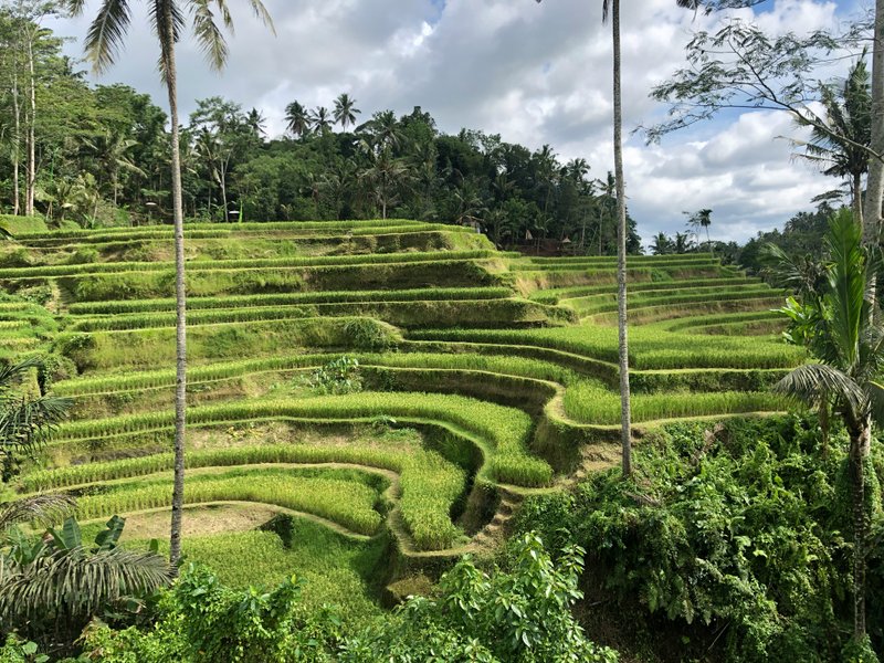 Ubud