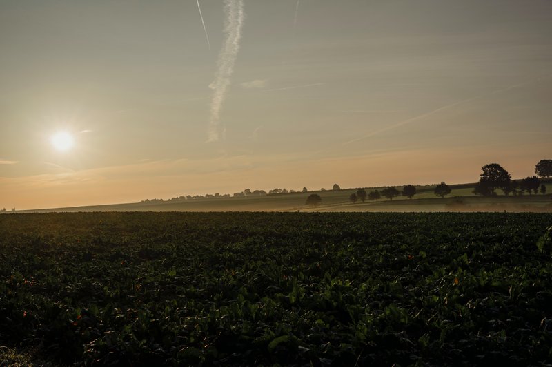 Collines du Limbourg