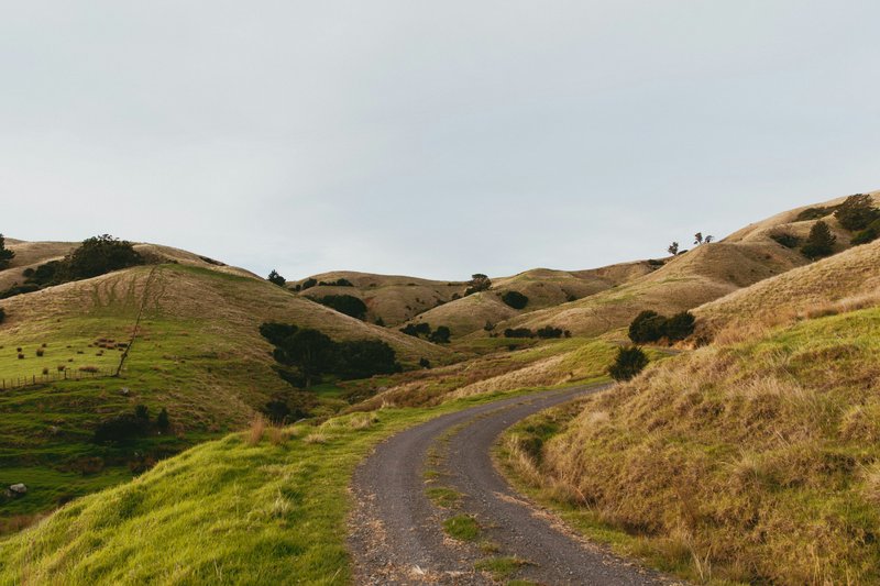 Péninsule de Coromandel