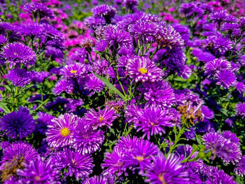 Nakhon Ratchasima (Korat)